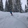 julia_bloom